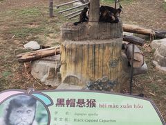 -大连森林动物园