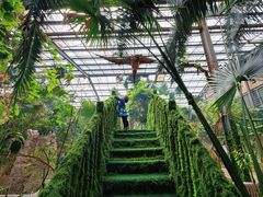 -呀路古热带植物园