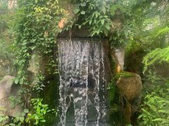 -南山植物园