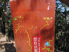 -梧桐山风景名胜区