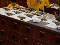 -北京同仁堂(昌岗店)