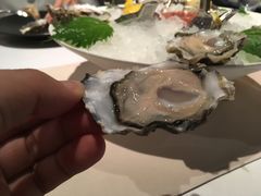-Oyster Talks 四度蚝法餐厅