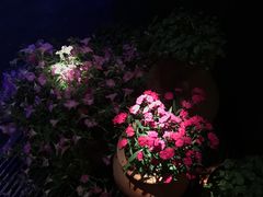 -大川先生·小龙虾·川菜(信义坊店)