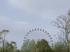 -洋湖国家湿地公园