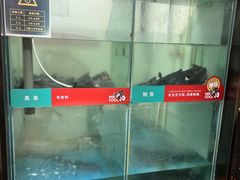 -鱼酷活鱼烤鱼(北美店)