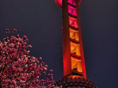 -东方明珠广播电视塔