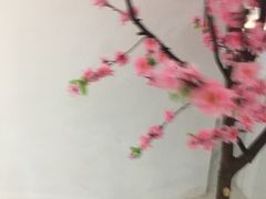 -杨记齐齐哈尔烤肉(总店)