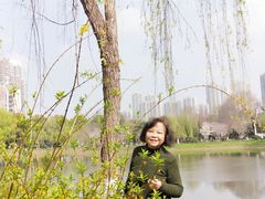 -堤角公园