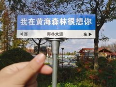 -黄海国家森林公园