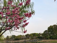 -尚贤河湿地