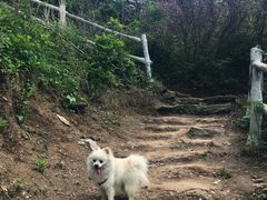 -木兰云雾山