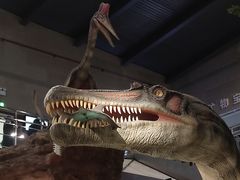 -湖南省地质博物馆