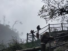-峨眉山风景名胜区