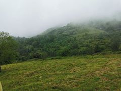 -硗碛藏寨·神木垒景区