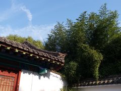 -百脉泉景区