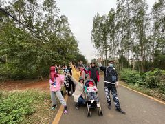 -东寨港红树林旅游区