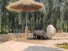 -北京野生动物园