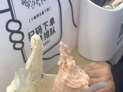 -野人先生现做冰淇淋(西安赛格店)