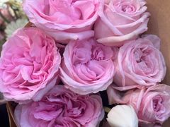 -花屿鲜花(淡水店)