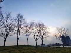 -上海山野camping·户外天幕烧烤·团建拓展营地