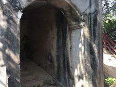 -羚羊峡古栈道森林公园