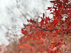 -野三坡百草畔景区