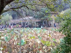 -韶山毛泽东同志故居