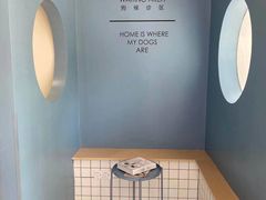 -柏萃动物医院·骨科·牙科