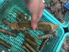 浩运海鲜酒店-浩运·海鲜青岛菜·海胆水饺(石老人店)