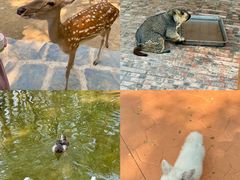 -南戴河国际娱乐中心