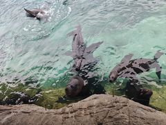 -珠海长隆海洋王国