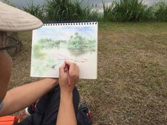 -白鹭湾湿地公园