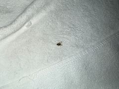 -杭州西湖湖滨银泰亚朵酒店