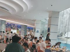 -帝企鹅自助餐厅•儿童岛•真企鹅(长隆企鹅酒店)