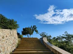 -北京西山国家森林公园