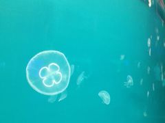 -多彩贵州城极地海洋世界