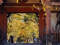 -醍醐寺