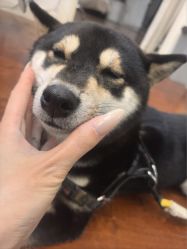 -HUII NAIL绘京美甲美睫会馆