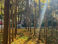 -西安市长乐公园