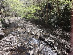 -宁海森林温泉