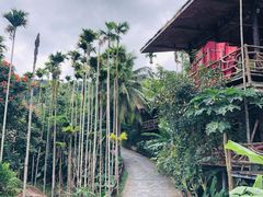 -海南槟榔谷黎苗文化旅游区
