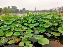 -西海子公园