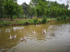 -西安浐灞国家湿地公园