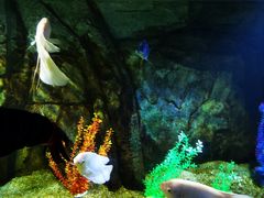 -泉城欧乐堡海洋极地世界