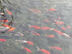 -水磨沟公园