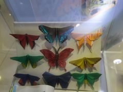 -上海昆虫博物馆