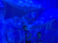 -芜湖新华联大白鲸海洋公园