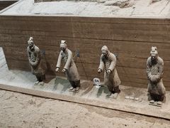 -秦始皇帝陵博物院-丽山园