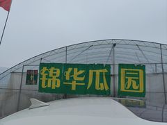 -庞各庄西瓜蔬菜采摘园·锦华瓜园