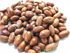 炸花生米-大槐树烤肉馆